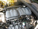 10165002_0-RFB.JPG